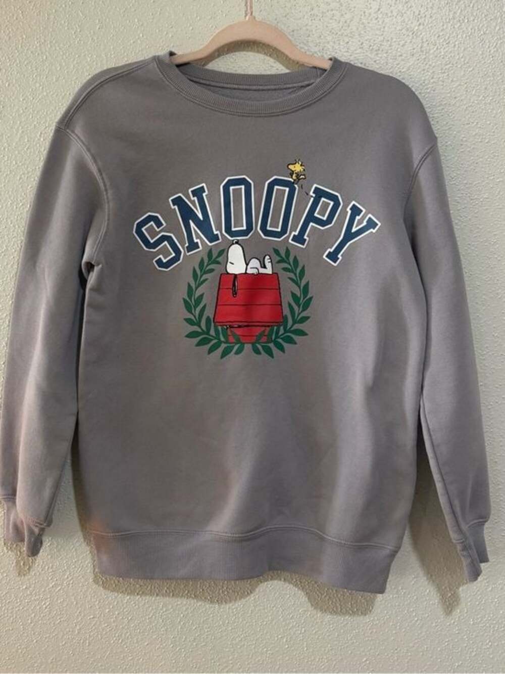 Peanuts Snoopy Graphic Sweatshirt Gray Fleece Crewneck XS